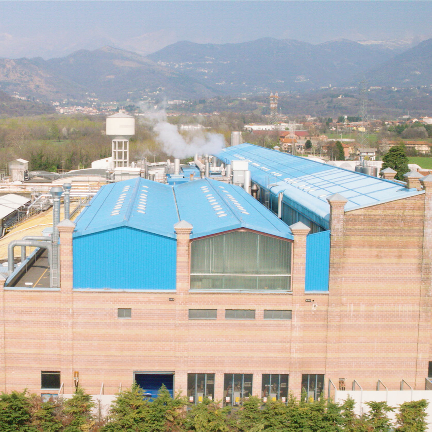 Turin Plant - sq Turin Plant - sq